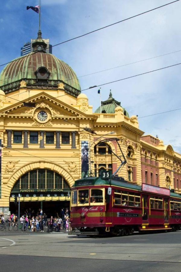 wmremove-transformed (6)