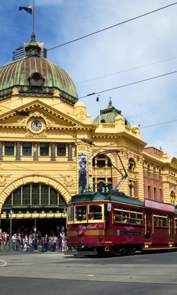 wmremove-transformed (6)