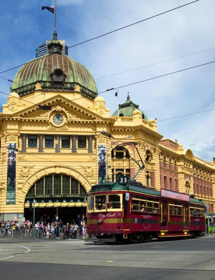 wmremove-transformed (6)